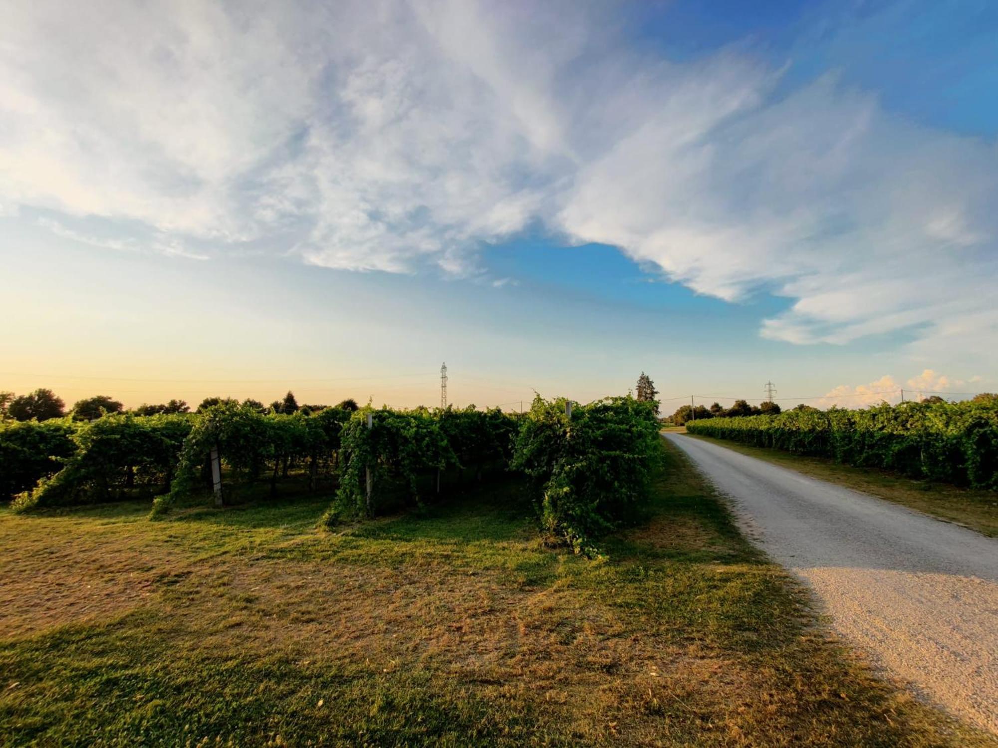 Antico Podere Emilia *